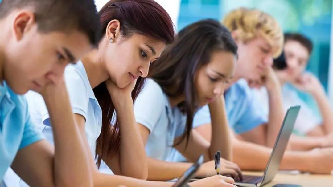 精英教育值得舍近求远吗？ | SBS Chinese