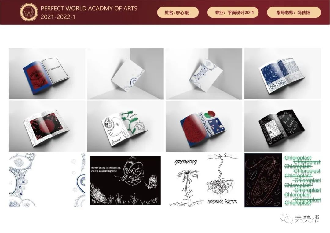 十月优秀学生作品展——冯秋钰老师优秀学生作品篇(图10)
