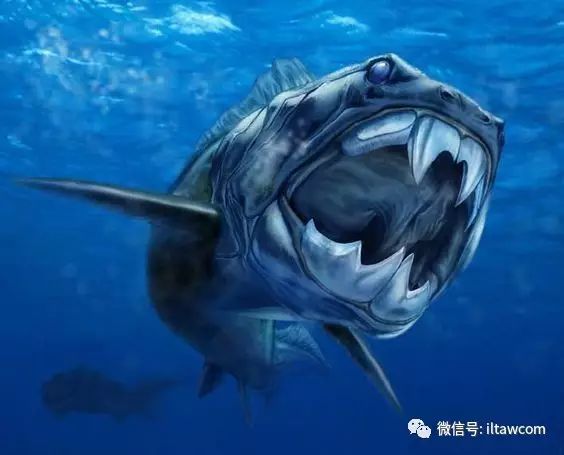 远古海洋霸主邓氏鱼