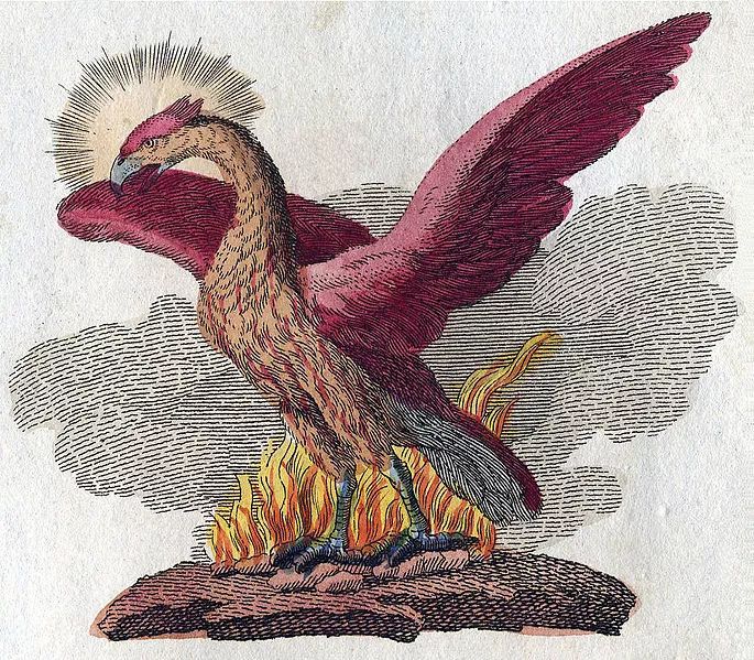 神話傳說中的動物 不死鳥 動物世界 微文庫