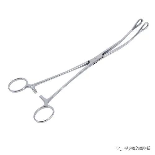 卵圆钳怎么持【护理操作】04无菌技术基本操作方法之使用无菌持物钳法_https://www.jmylbn.com_新闻资讯_第3张