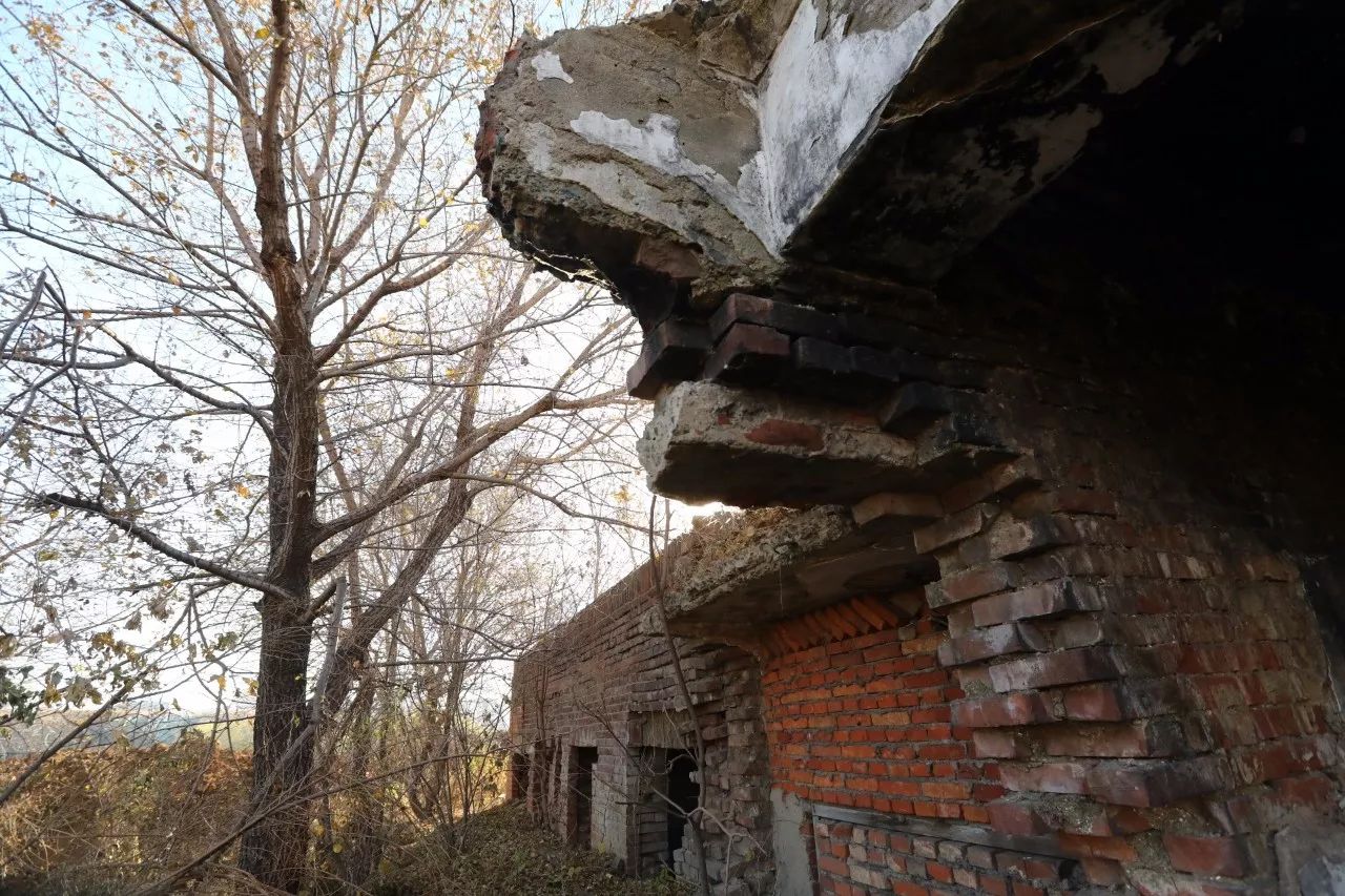长春台北大街一破屋惊现小药瓶和兽骨!竟是日伪时期马疫研究处!
