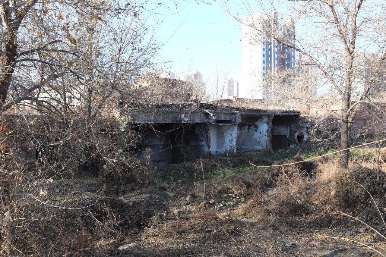 长春台北大街一破屋惊现小药瓶和兽骨!竟是日伪时期马疫研究处!