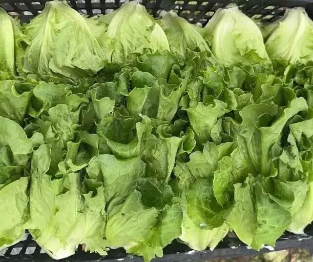 Screenshot_2025_0212_173403