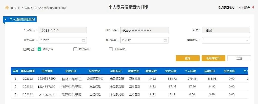 个人社保明细