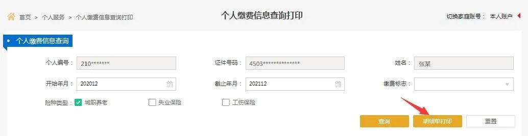 个人社保明细