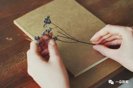 与其互为人间，不如自成宇宙。