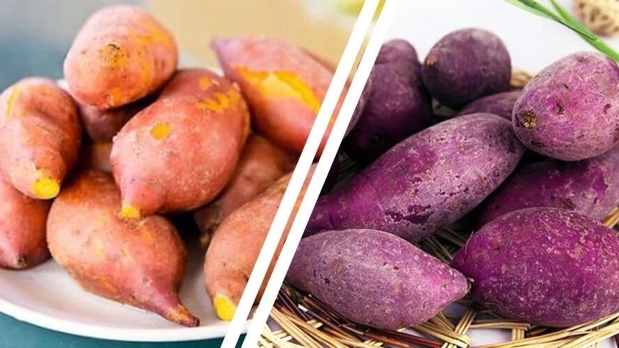 薯类两大巨头，你最常吃的红薯&紫薯，哪个才是减脂加速器?