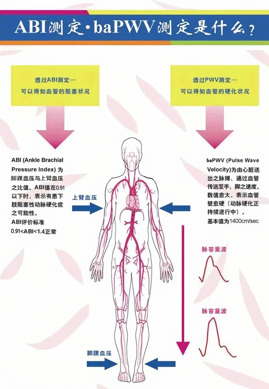 动脉硬化检测仪怎么用健康查体 — 动脉硬化检测仪，轻松五分钟测出血管健康指数_https://www.jmylbn.com_新闻资讯_第4张