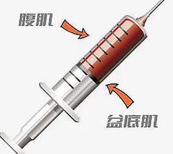 康复悬吊组装怎么装产后康复疗法 — 悬吊训练_https://www.jmylbn.com_新闻资讯_第15张