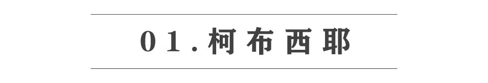 日本设计师如何定义自己的家(图2)