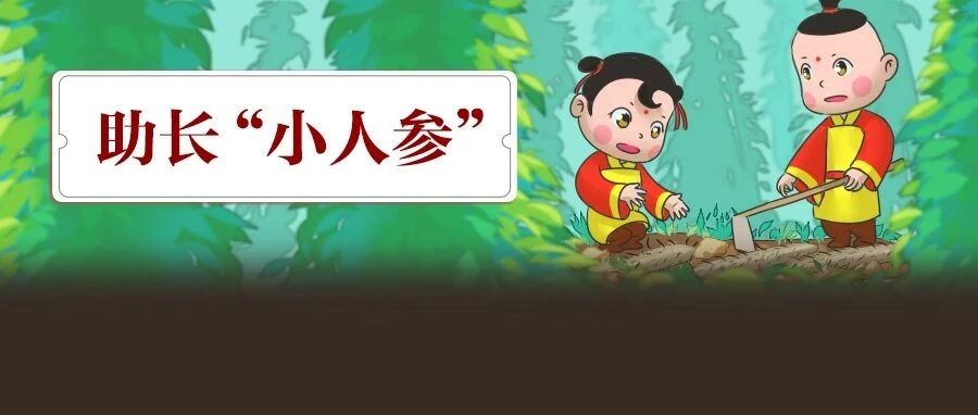 好吃不贵，比米饭强几倍!健脾消食还长个!