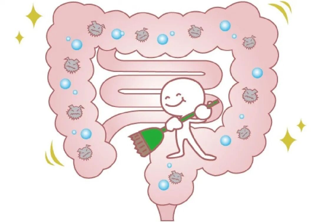 春季"补阳草",3种做法,开胃通便,帮娃蹭蹭长高-友友