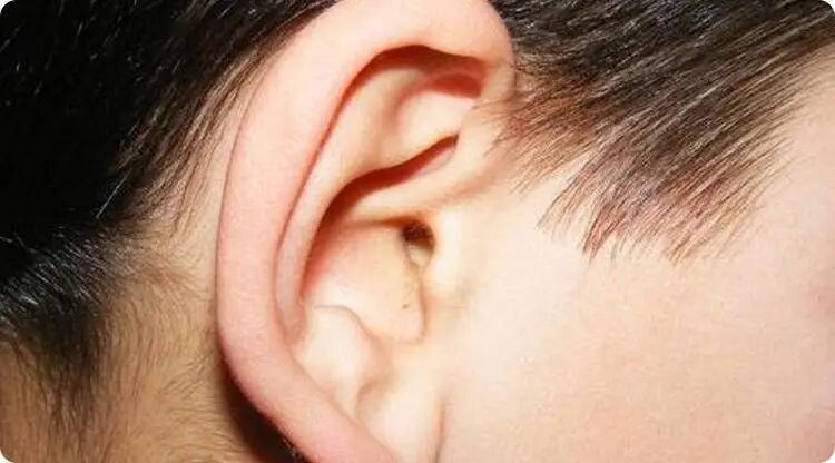 一生运势如何？看你的耳朵就知道！