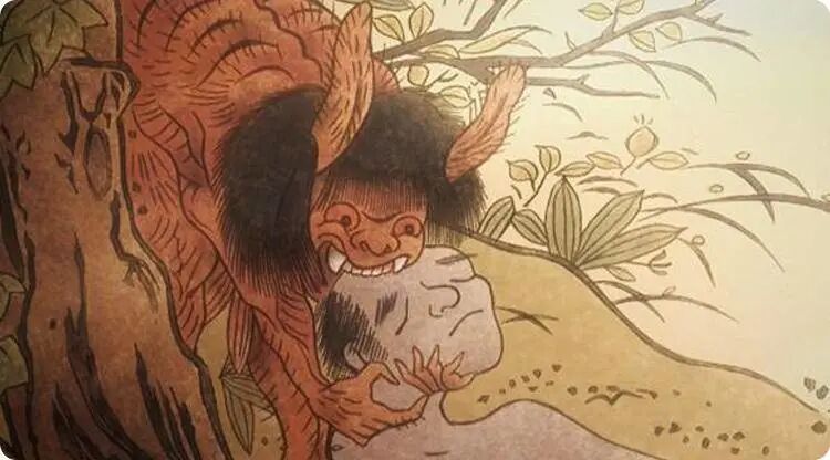 农村墓地旁为何种柏树？究竟有什么讲究？