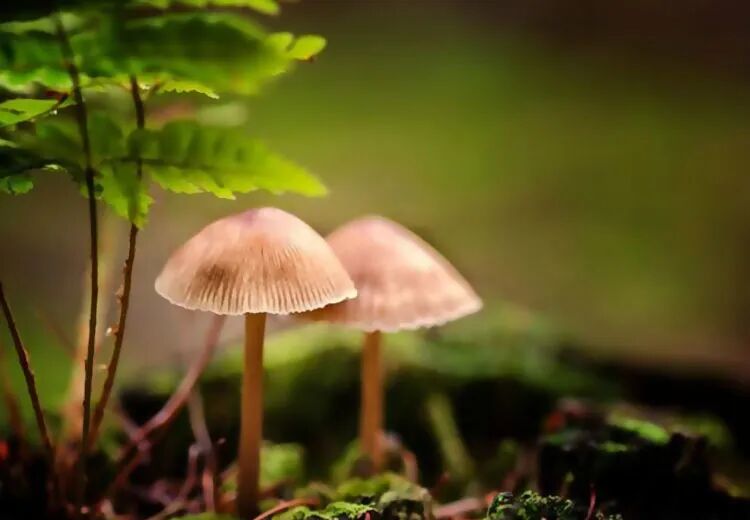 会做人，才能赢天下！