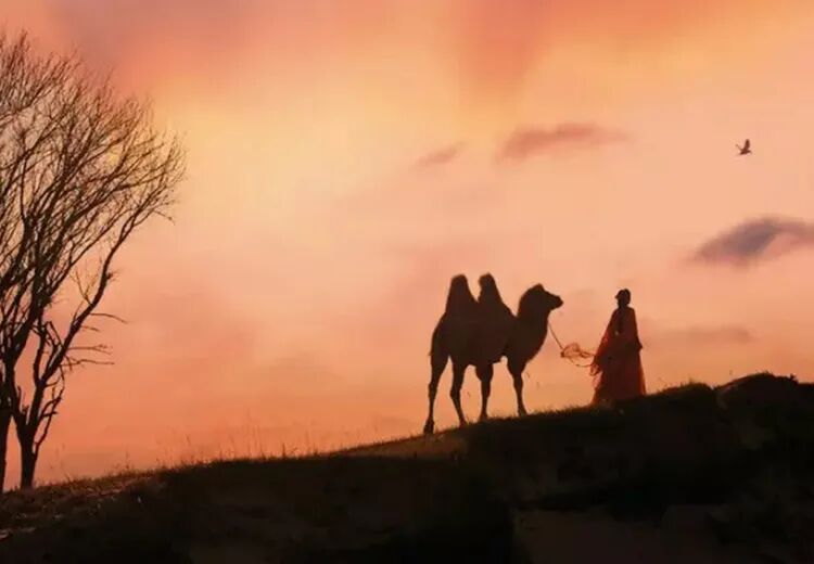 佛说：靠自己的人，命最好。