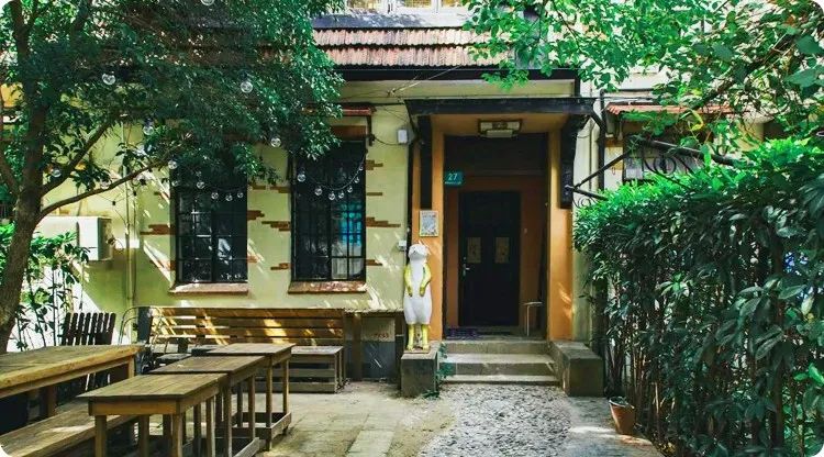 家里种葡萄树好不好有什么讲究吗_家里种葡萄树大忌_好讲究葡萄树种家里好不好