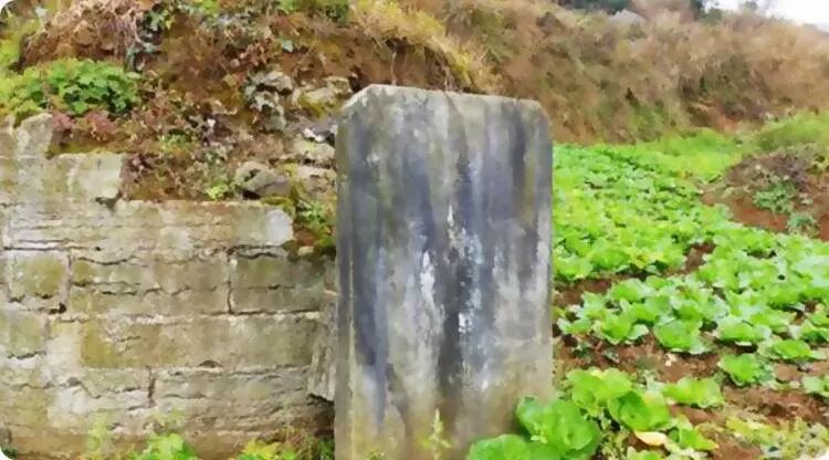 祖坟出现这些情况，子孙运势下滑，疾病不断！