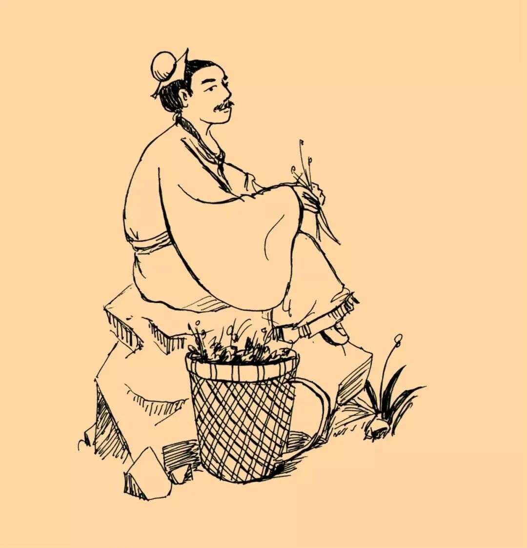 老祖宗留下的能治百病的秘方，最好背下来！