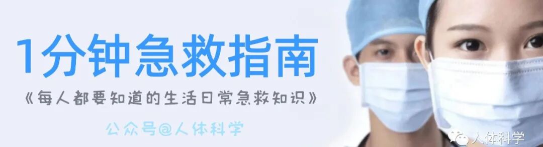 外展枕怎么使用【科学训练】抗阻训练和静态拉伸时的肌肉功能及动作表_https://www.jmylbn.com_新闻资讯_第12张