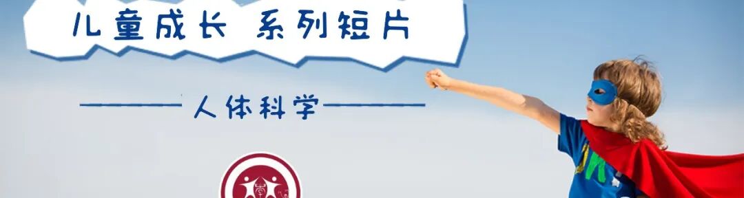 外展枕怎么使用【科学训练】抗阻训练和静态拉伸时的肌肉功能及动作表_https://www.jmylbn.com_新闻资讯_第13张
