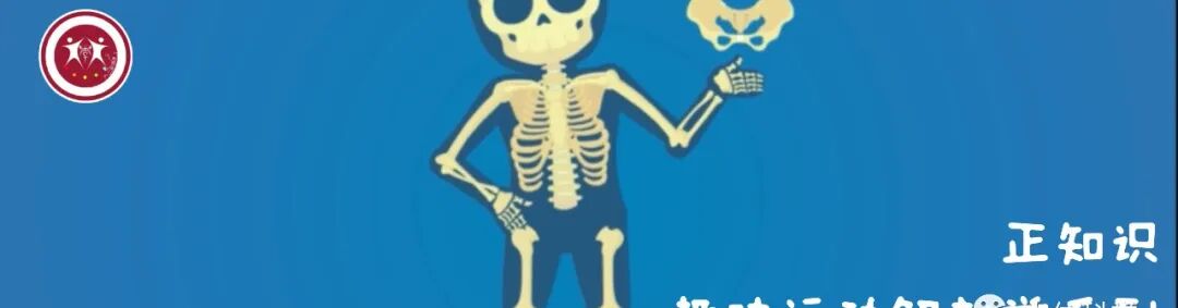 外展枕怎么使用【科学训练】抗阻训练和静态拉伸时的肌肉功能及动作表_https://www.jmylbn.com_新闻资讯_第11张