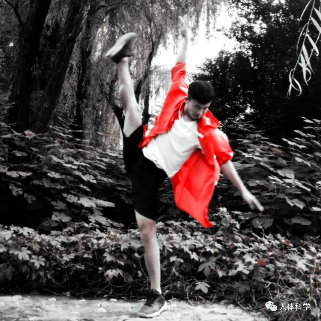 外展枕怎么使用【科学训练】抗阻训练和静态拉伸时的肌肉功能及动作表_https://www.jmylbn.com_新闻资讯_第2张