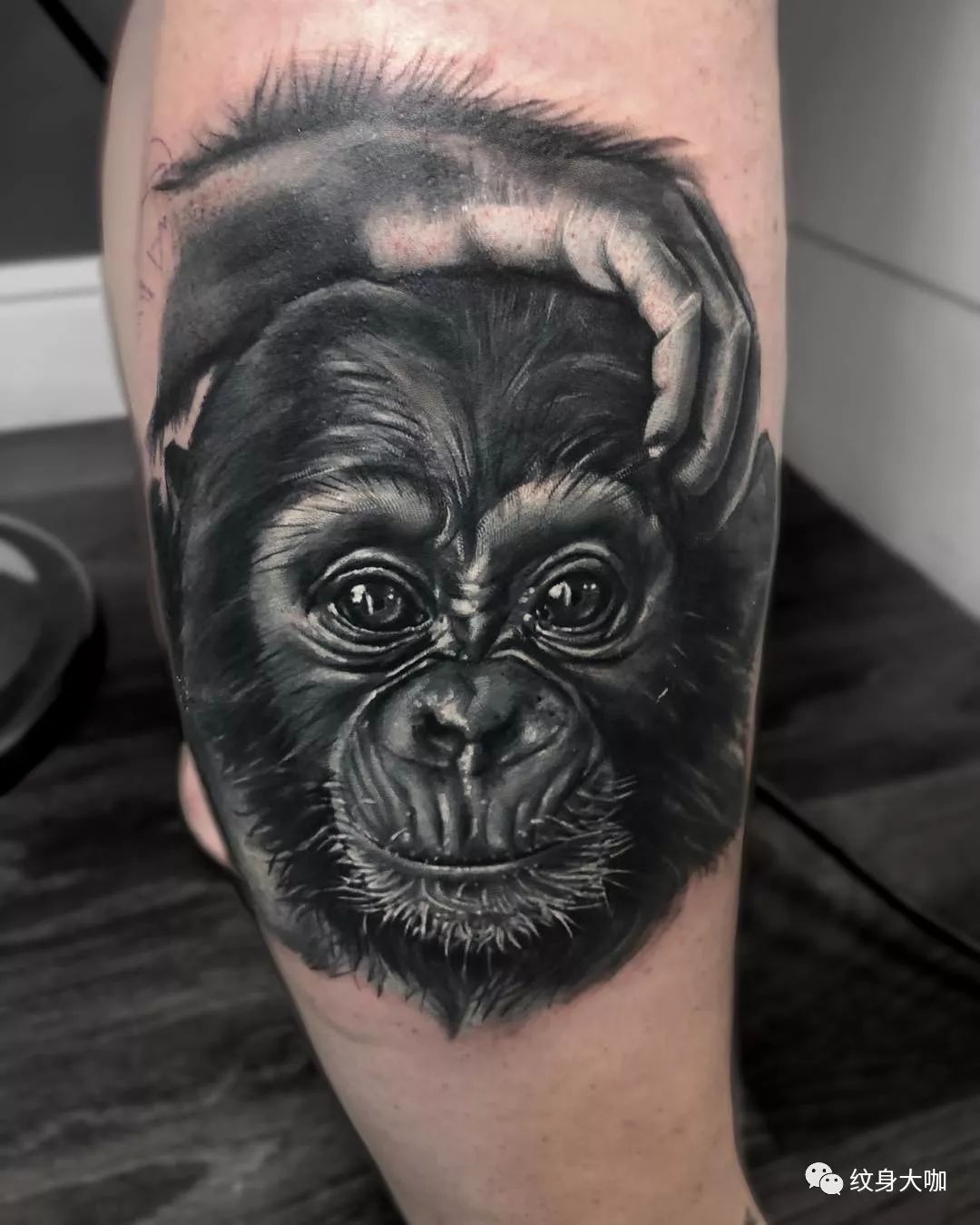 大猩猩纹身素材图片