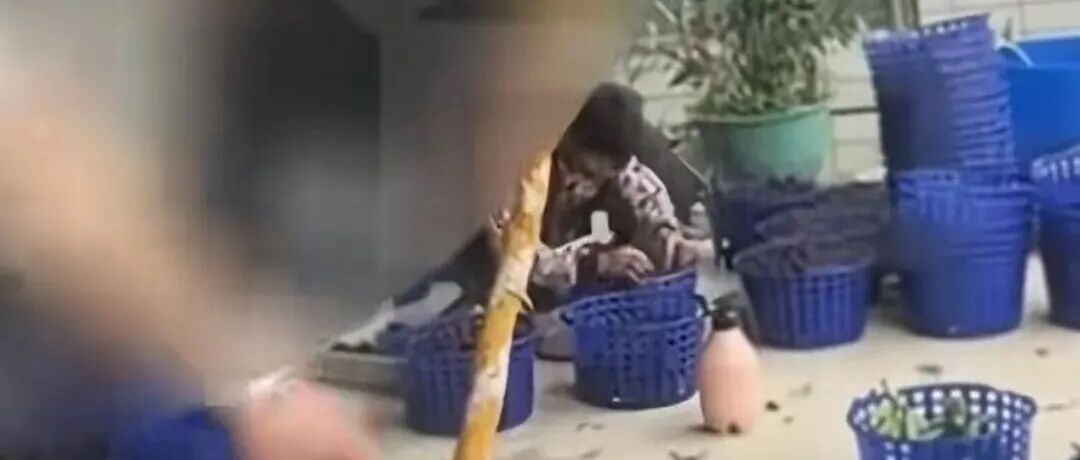 文章封面
