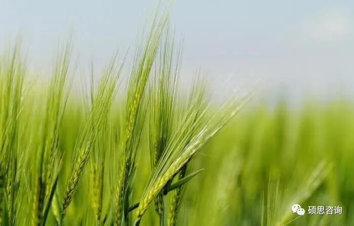 2020年世界认可日主题确定