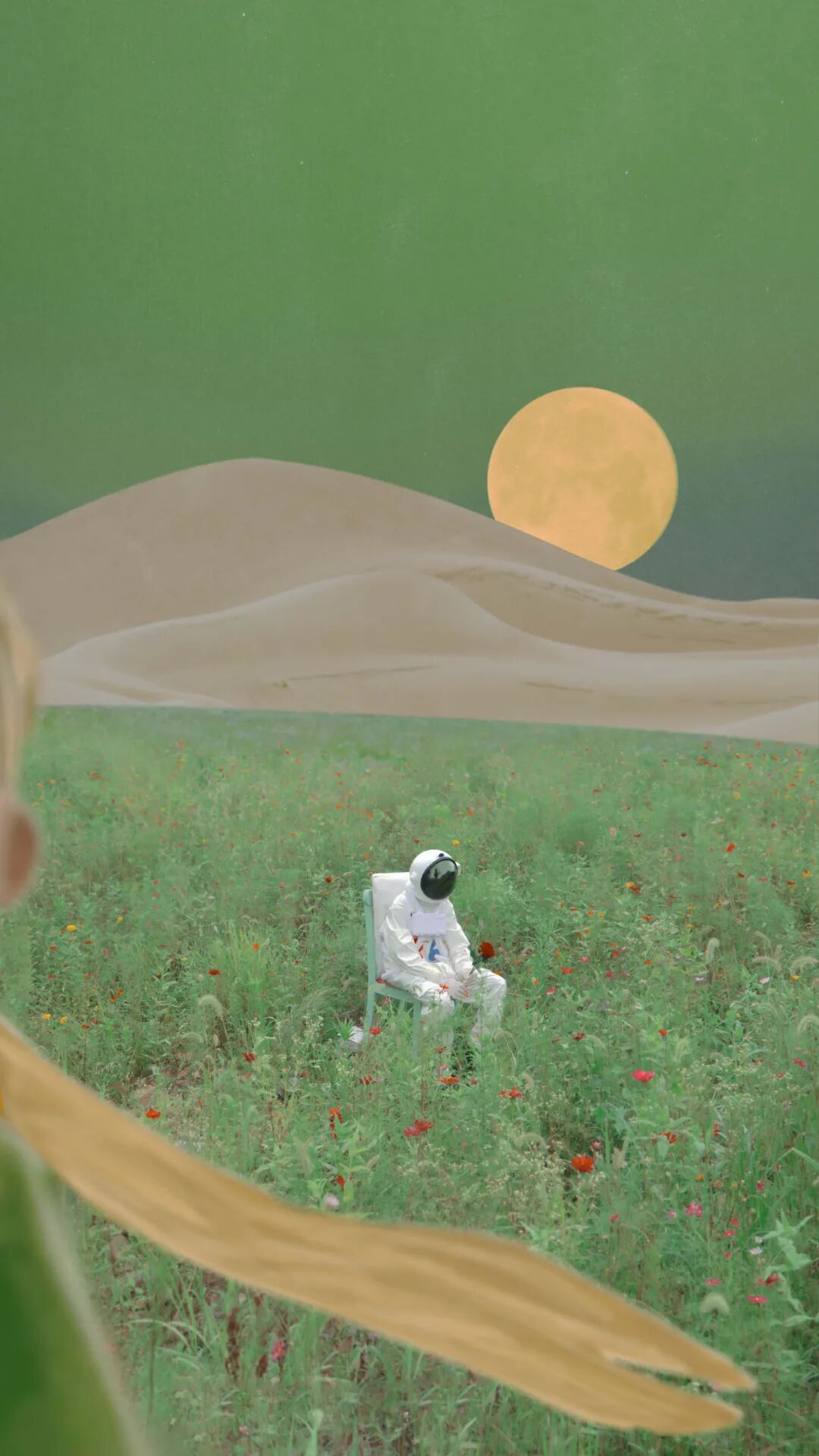 艺术与设计 - 色彩灵感