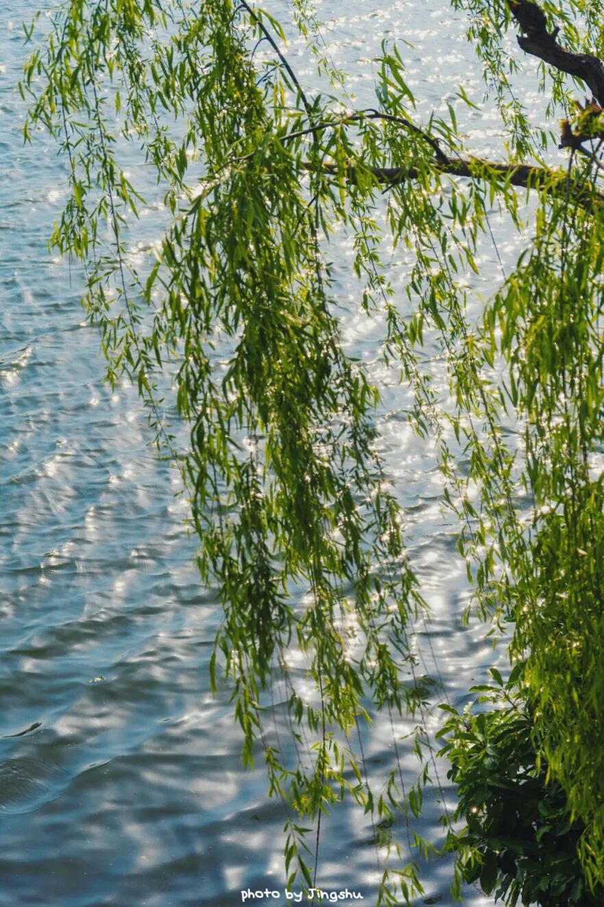 是未定的情事photo by weibo @rtkiycs五月的天 刚诞生的夏天photo