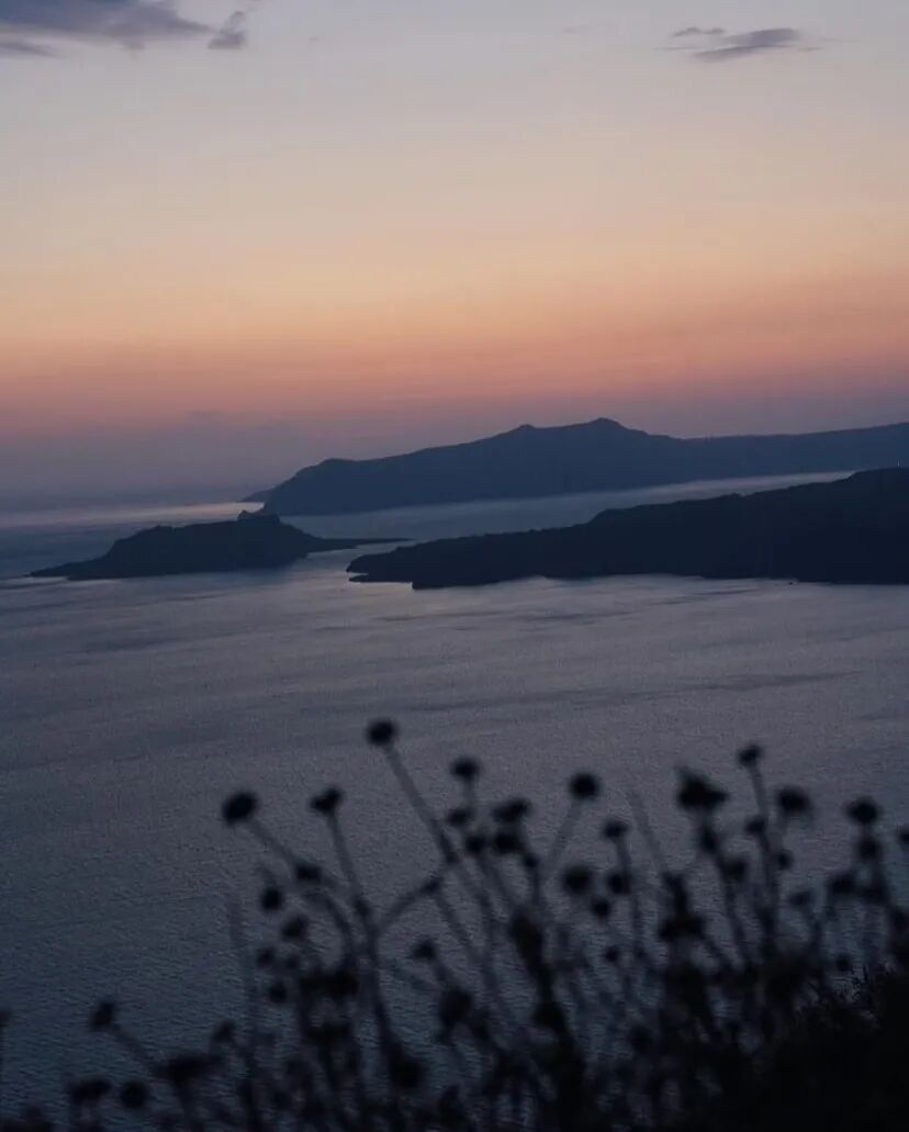 甚至还营造出一种唯美的氛围感来