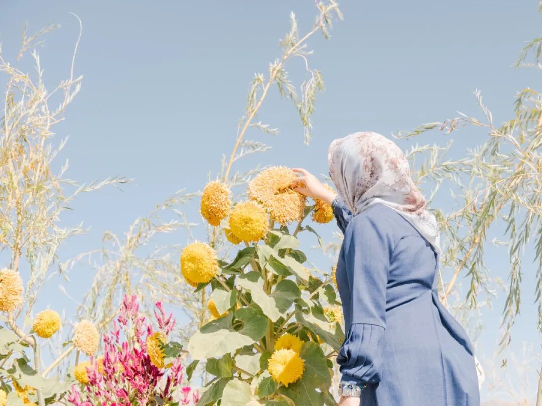 艺术与设计 - 拍花,真的可以让人心情愉悦