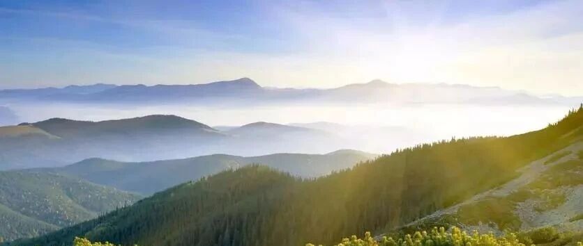 在学思践悟中坚定理想信念