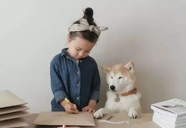 飼養寵物狗易出現的幾大錯誤 寵物 第8張