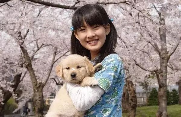 飼養寵物狗易出現的幾大錯誤 寵物 第5張