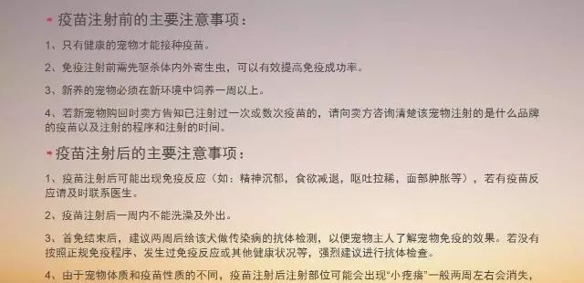 作為寵物主人，這個知識肯定是要了解的 寵物 第8張