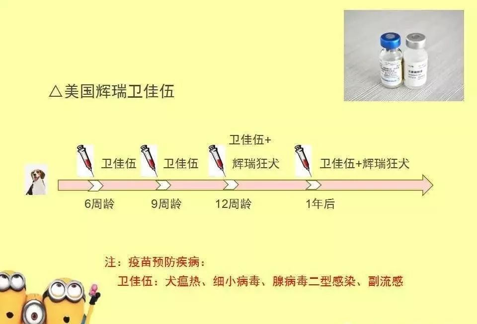 作為寵物主人，這個知識肯定是要了解的 寵物 第6張