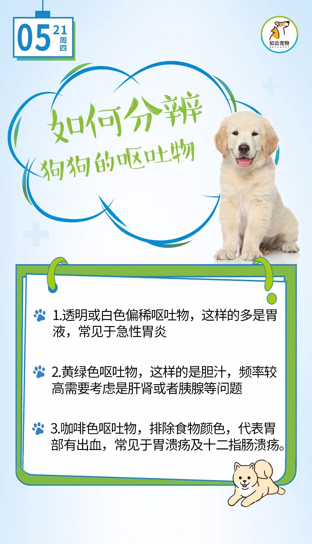 如何分辨狗狗的呕吐物 每天一个养宠小知识 萌宠 训练养宠技巧 宠物用品 微信头条新闻公众号文章收集网