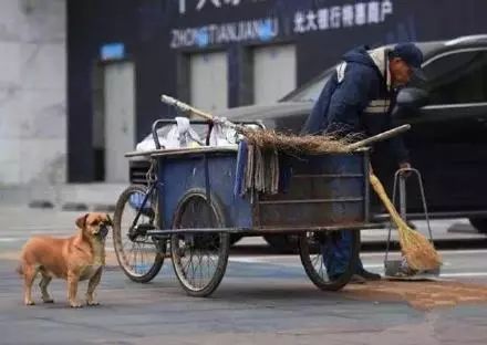 年紀大了看不了這個。想哭....... 萌寵 第4張