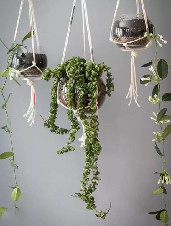 diy | 简易麻绳编织,给你的盆栽做个吊篮吧