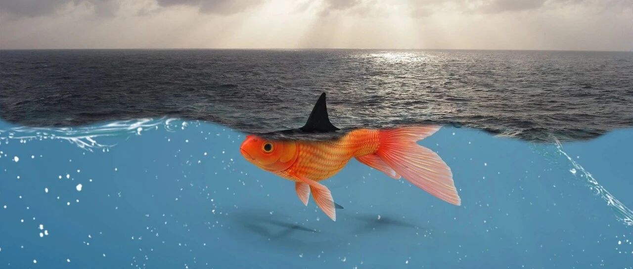 23岁小伙发烧一天花费1.85万死亡，父亲称护士玩手机不负责任？真相是…