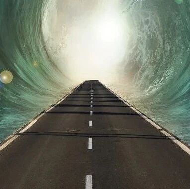 科技部查处一批论文造假案，这家医院科室主任被解聘……