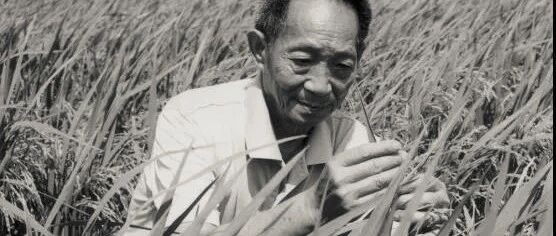 袁老一路走好！如果2021年3月10日没发生这件事，袁隆平爷爷应该还是好好的