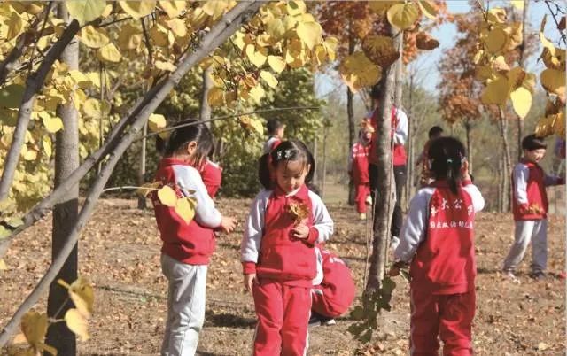 秋天來了，如何讓幼稚園的孩子少生病！轉給家長！ 親子 第3張