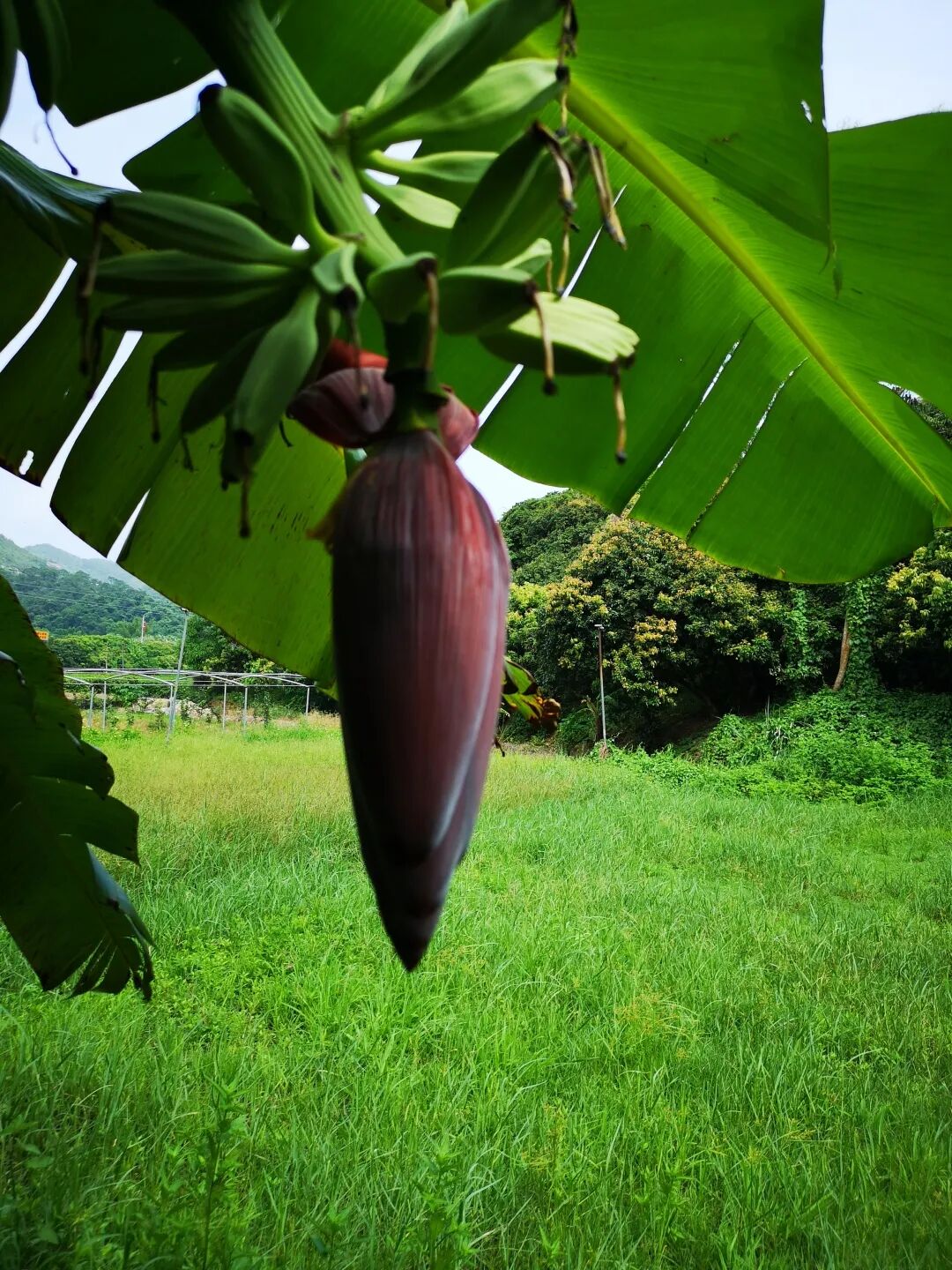 广州写字楼招商花城创意产业园