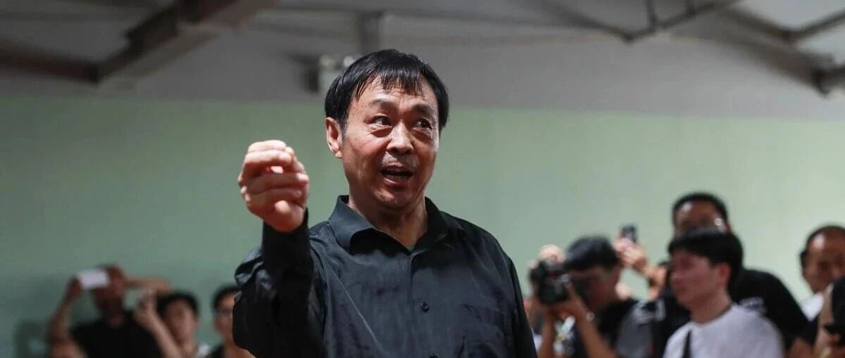 大师也需耗子尾汁！关于马保国，执法裁判、太极名家给出评价