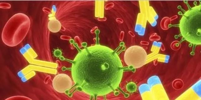腫瘤免疫治療生力軍：抗體藥物的創新 |腫瘤周刊 未分類 第1張